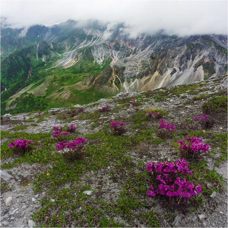 На перевале. Тункинские гольцы. фото превью
