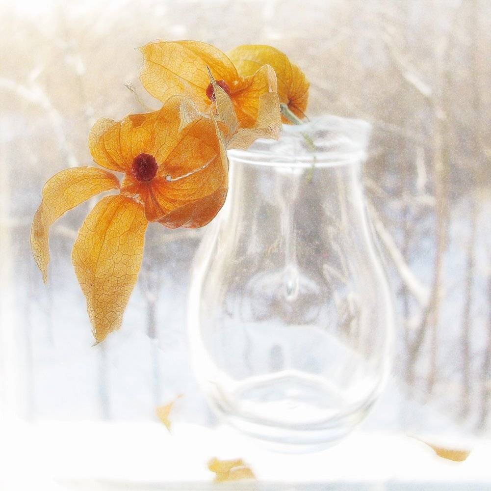 , ТАТЬЯНА ЗАХАРОВА