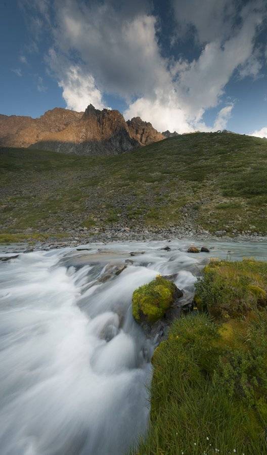 каркабак, алтай, Казаков Петр