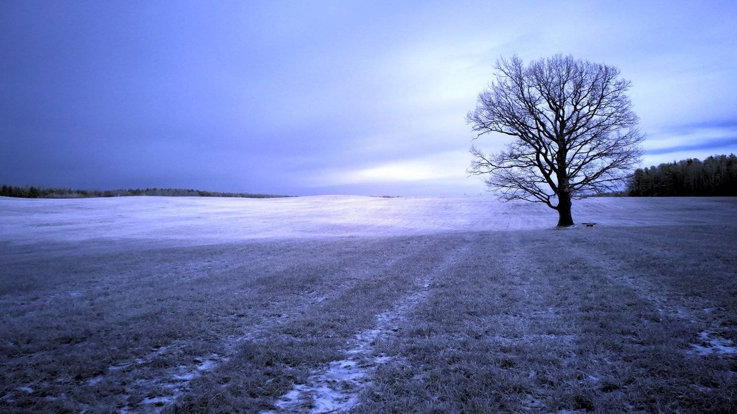 infrared,ик-фото,инфракрасное фото,инфракрасная фотография,пейзаж,природа,беларусь,осень, Sixten ( Сергей )