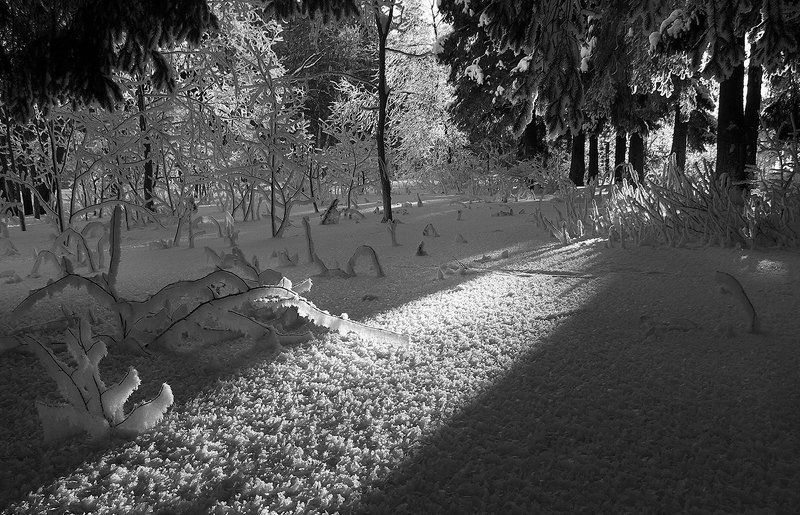 Hепобедимая зима фото превью