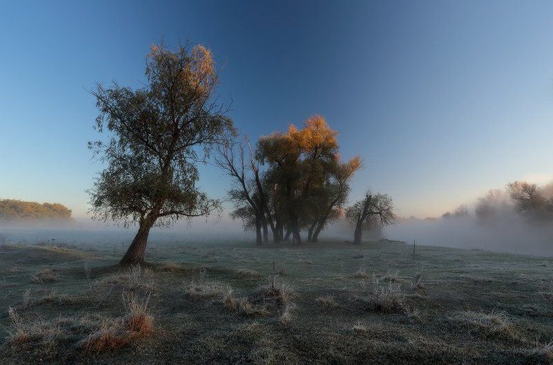 утро, туман, река, мороз, иней, осень День начинается туманом. фото превью