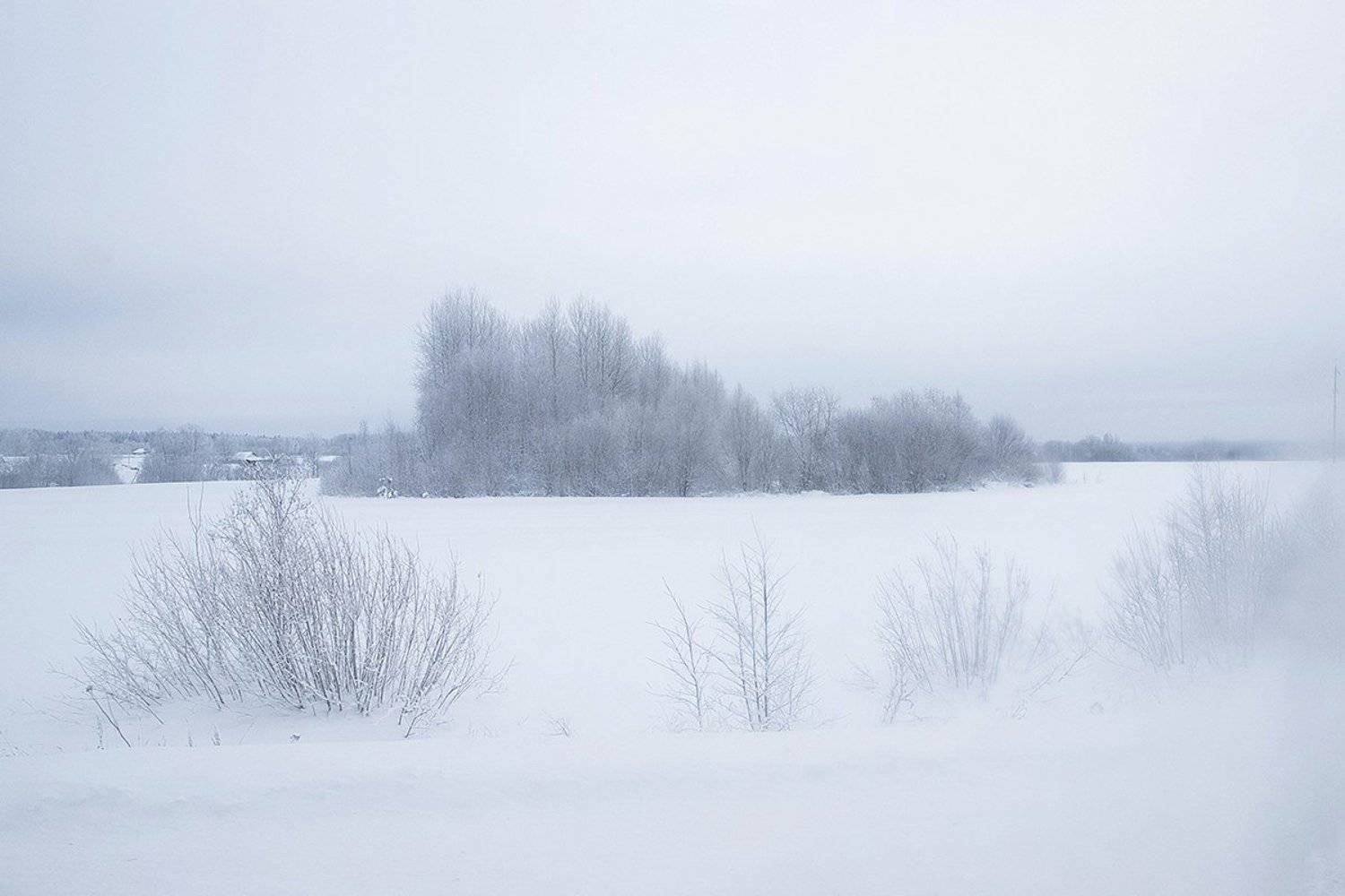 , Марина Сивакова