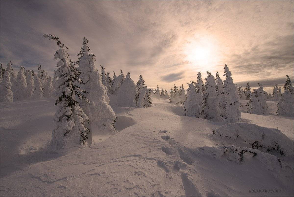 Кутыгин, Таганай, Дальний, Зима, куржак, метель, ели, ёлки, ель,, Кутыгин Эдуард