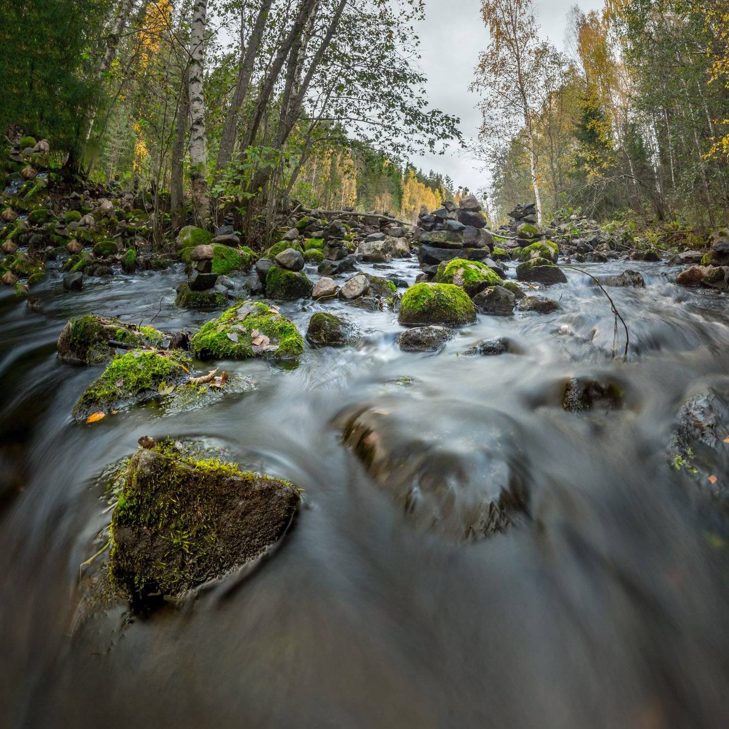 природа, карелия, осень, вода, рука, длинная выдержка, листья, Михаил Проскалов