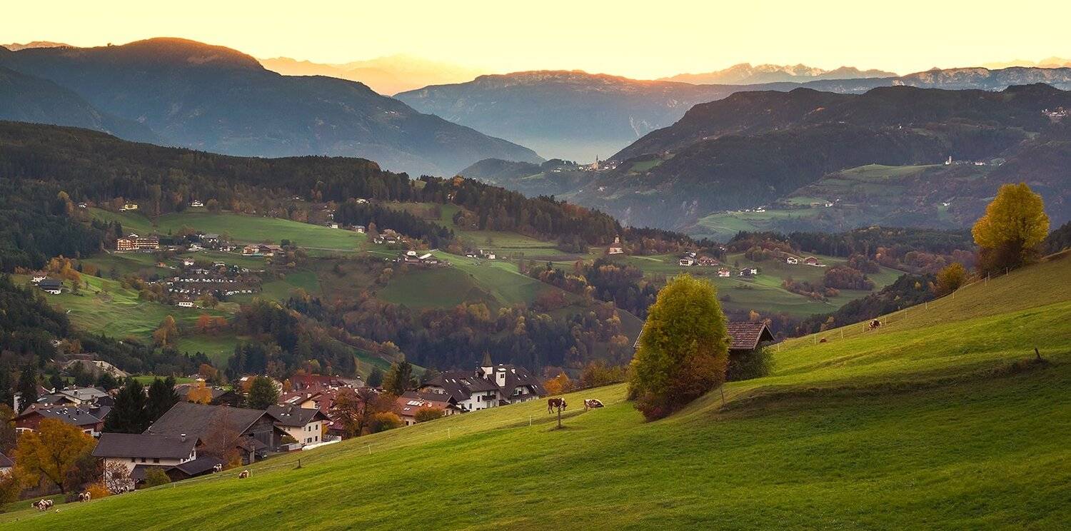 , Игорь Дубровский