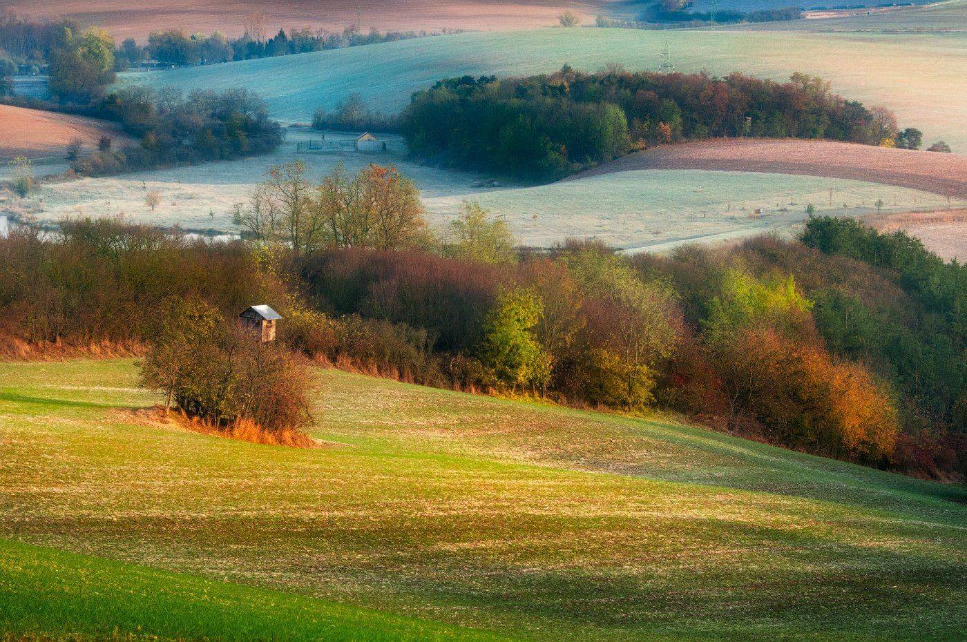 Моравия, волны, поля, осень, деревья, утро, рассвет, ноябрь, Cтанислав Малых