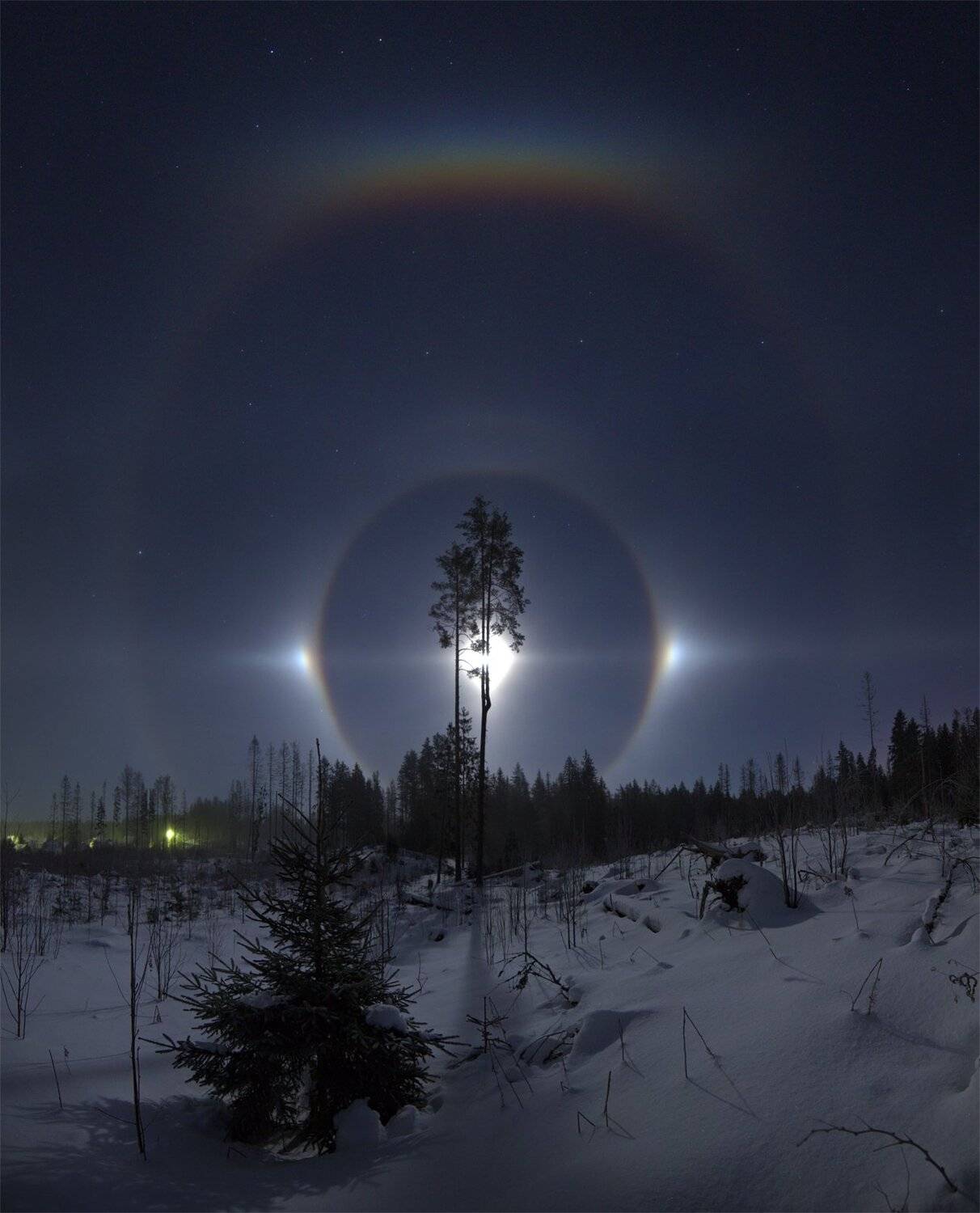 гало, Михаил Рева