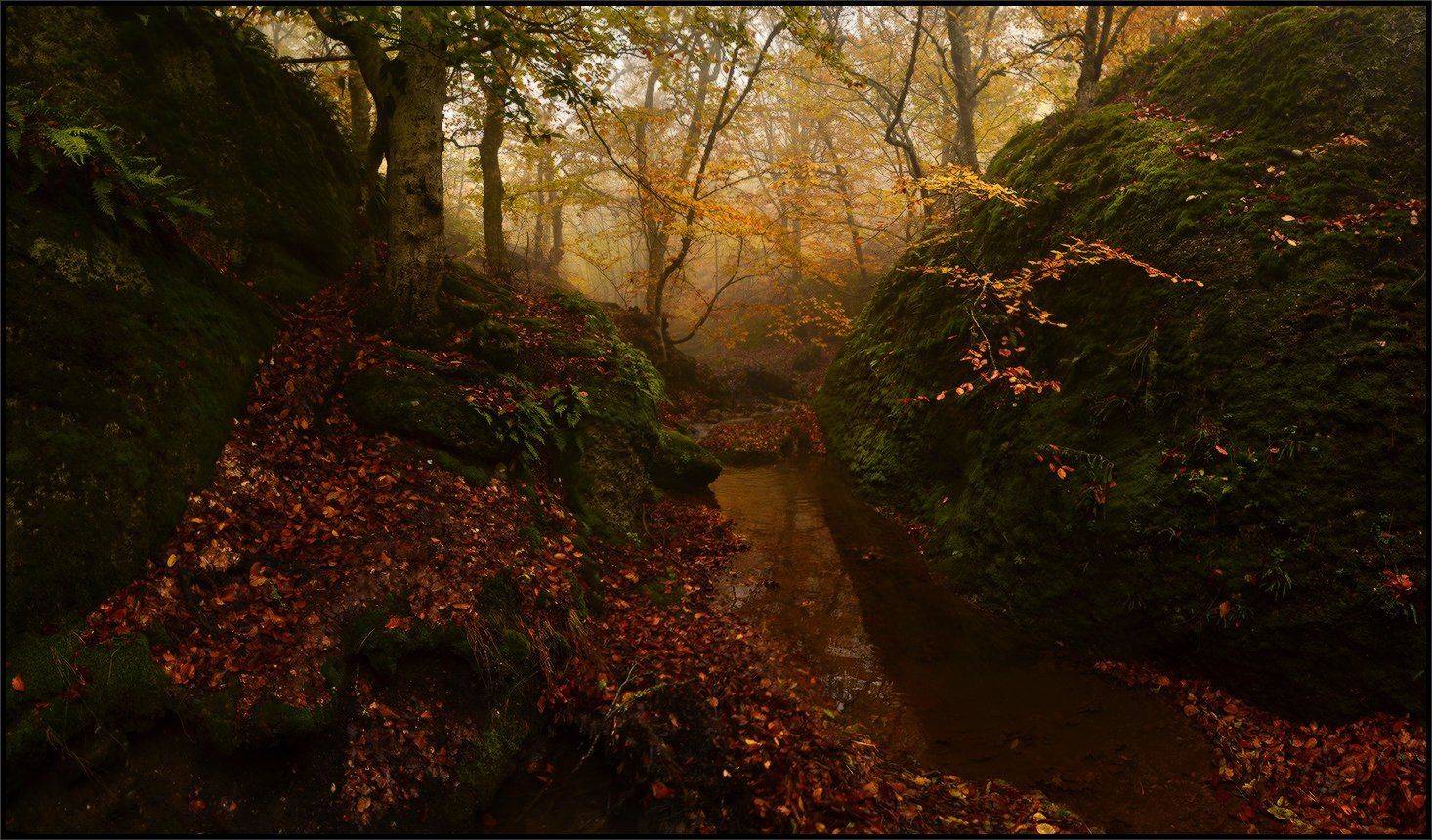 , Владимир Метцгер