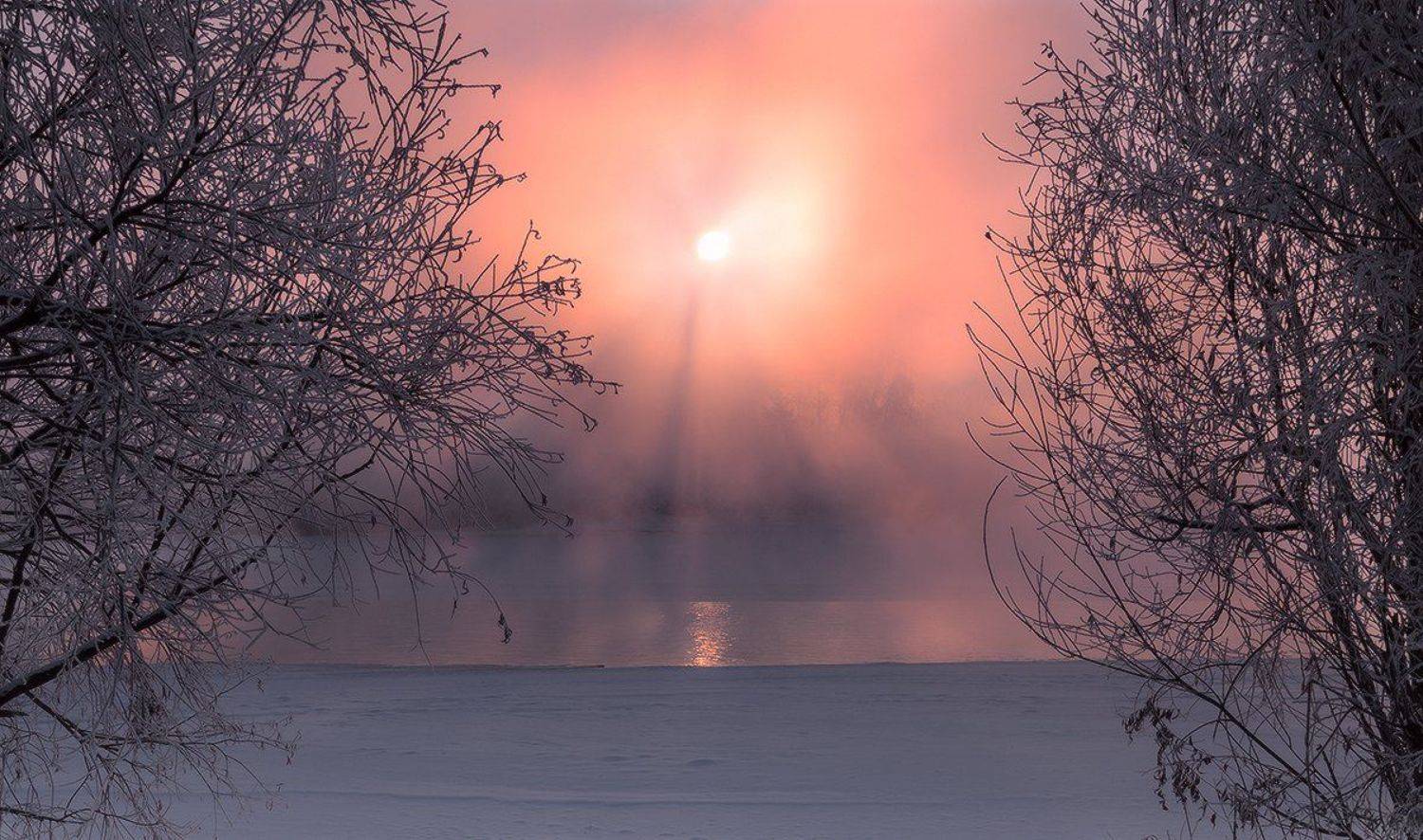 , Николай Морский