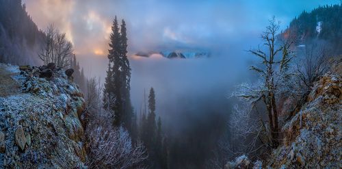 Абхазский Рицинский реликтовый национальный парк