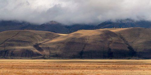 Pro тени Алтая