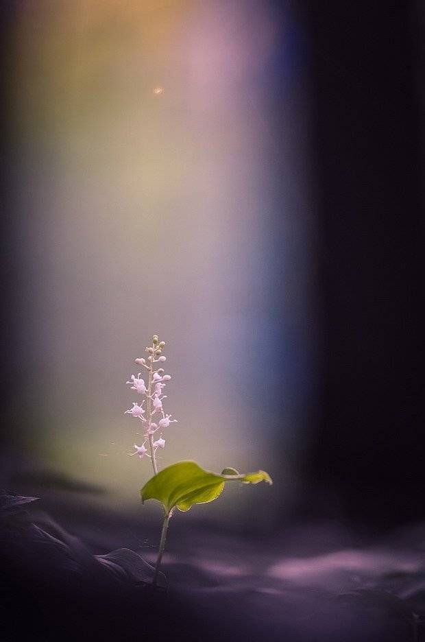 , Вячеслав Мищенко