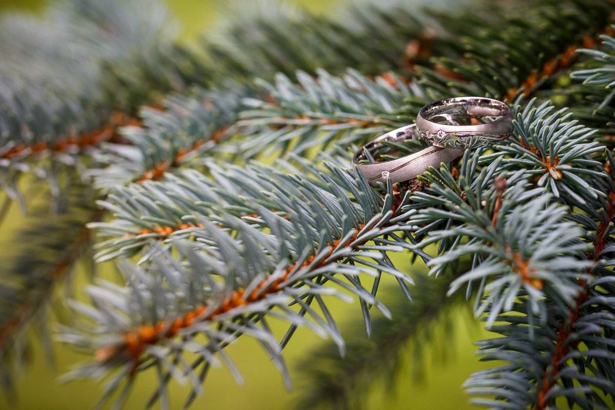 свадебная прогулка, свадьба, жених, невеста, любовь, love story, кольца, mdmmikle, Латвия, Рига, Михаил Маслов