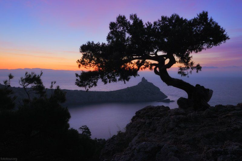 крым На рассвете фото превью