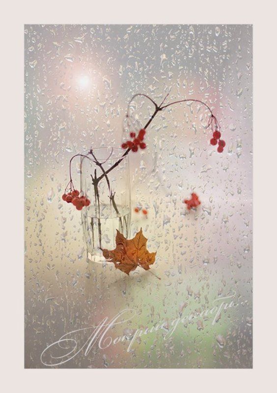 Зима декабрь Мокрый декабрь.../и у зимы случаются слезы/ фото превью