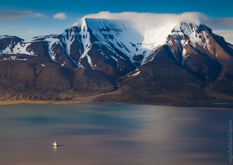 Арктика фото превью