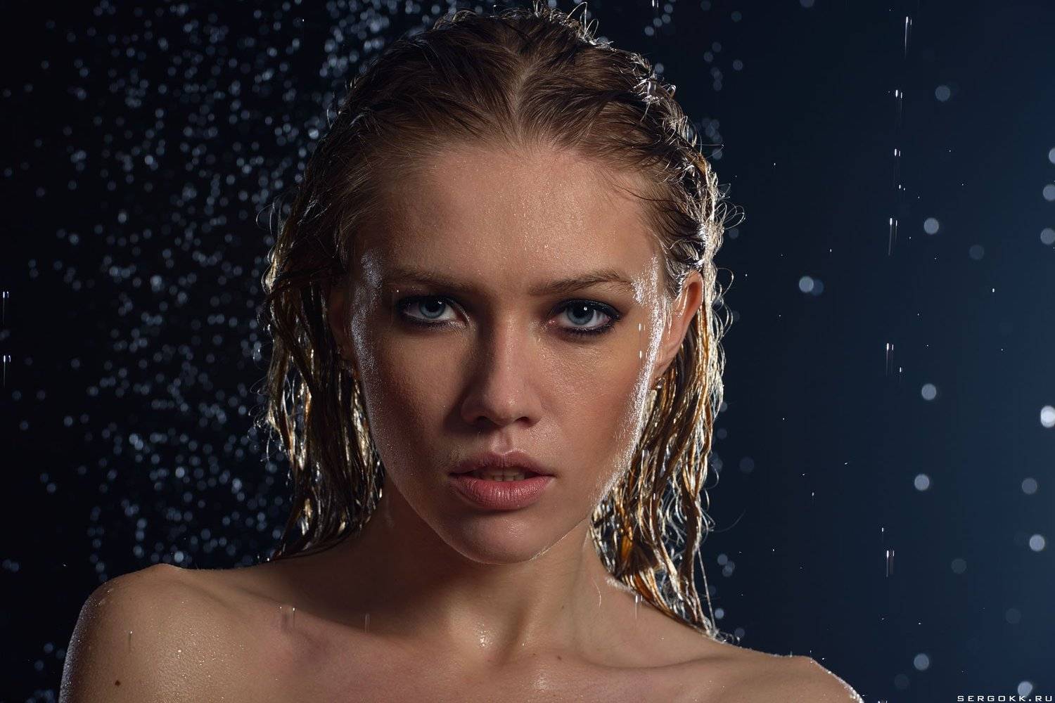 , Сергей Гокк