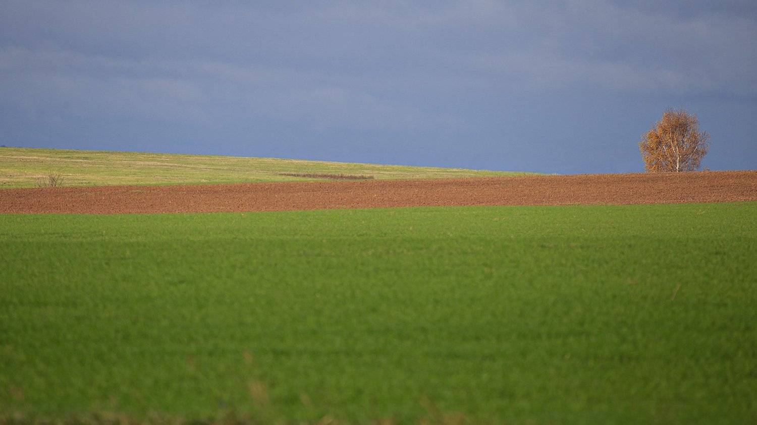 , Сергей Сидоров