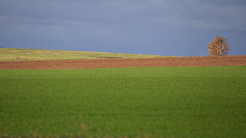 Поле фото превью