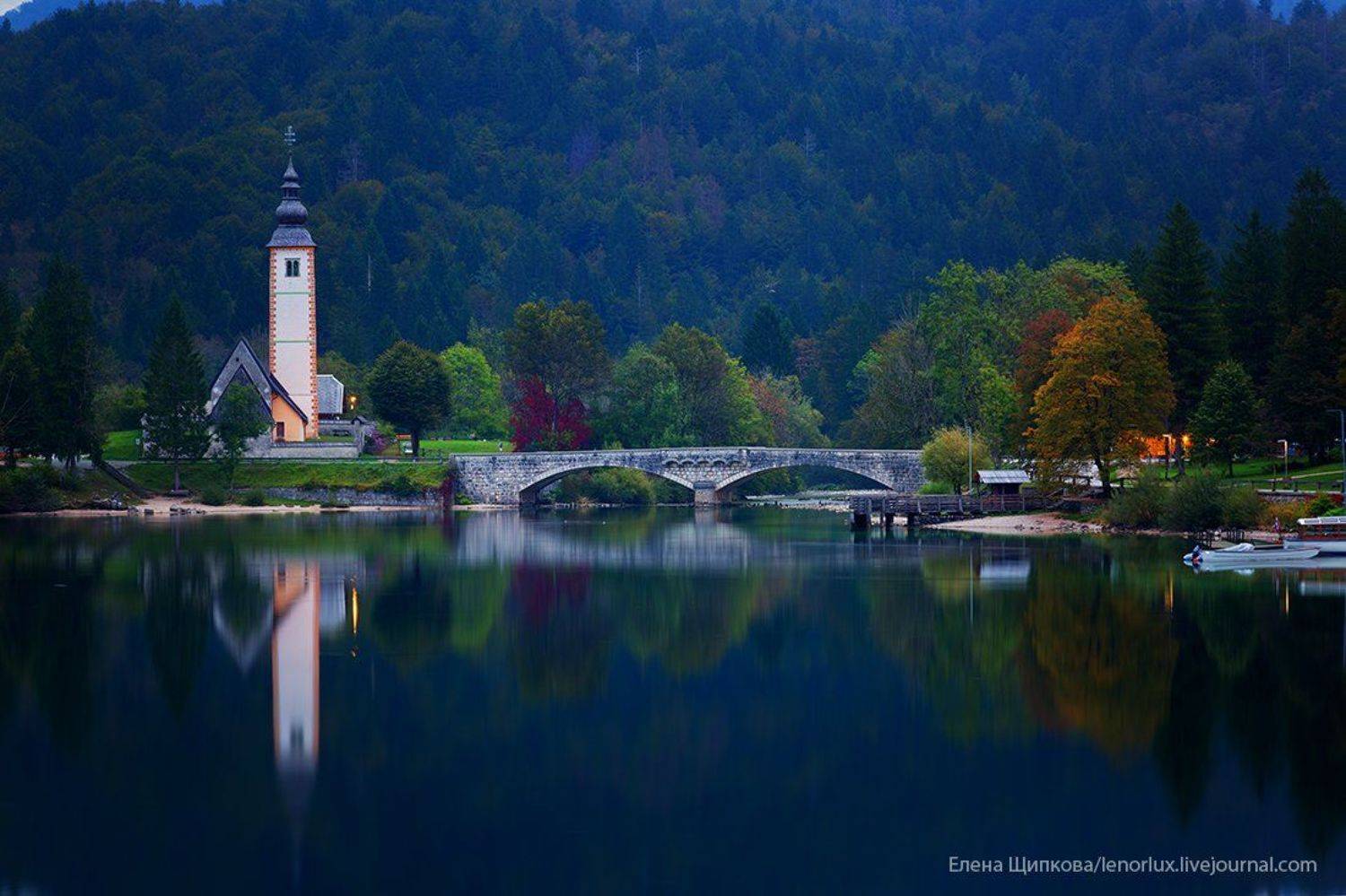 , Щипкова Елена