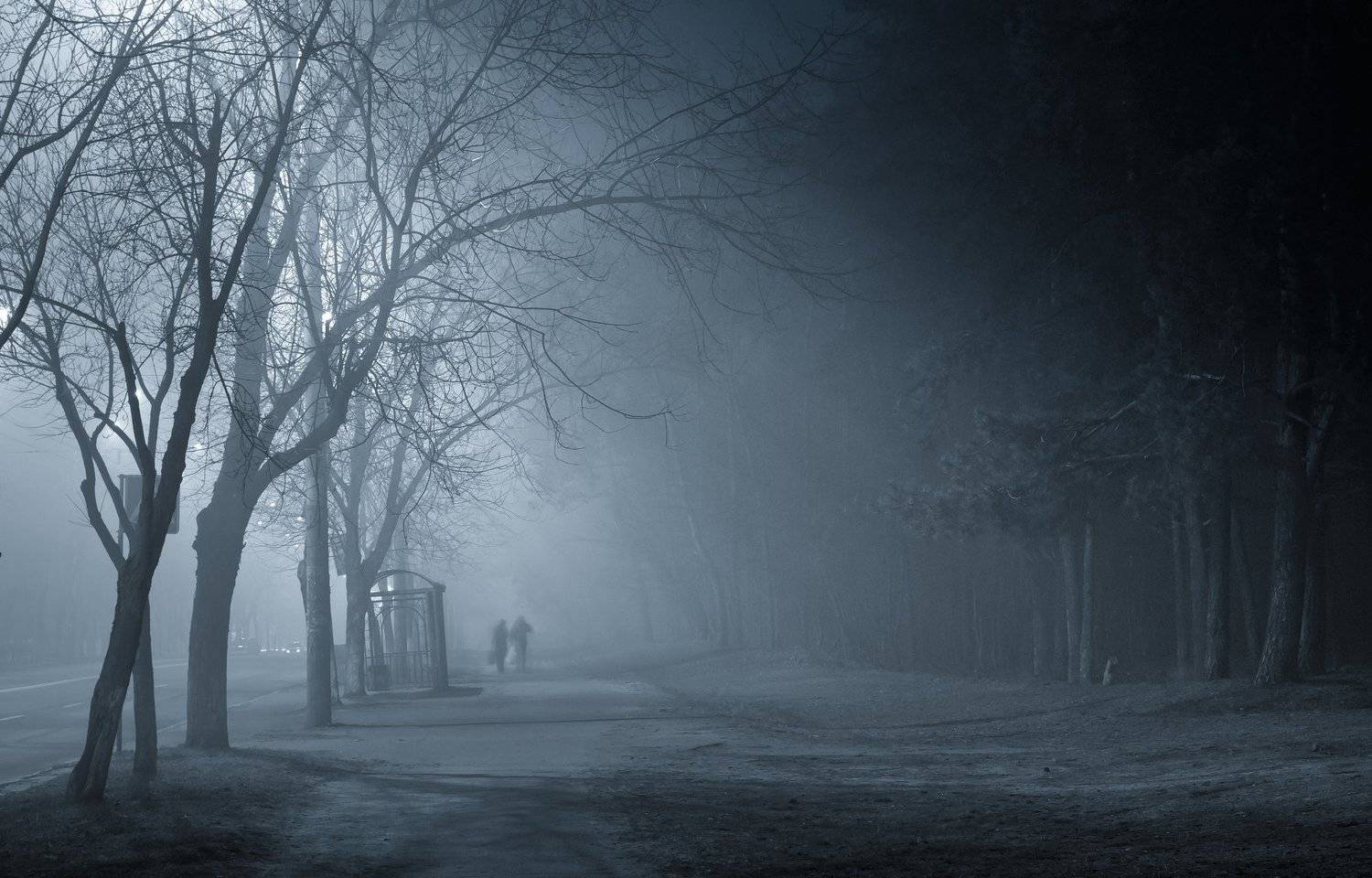 , Галанзовская Оксана