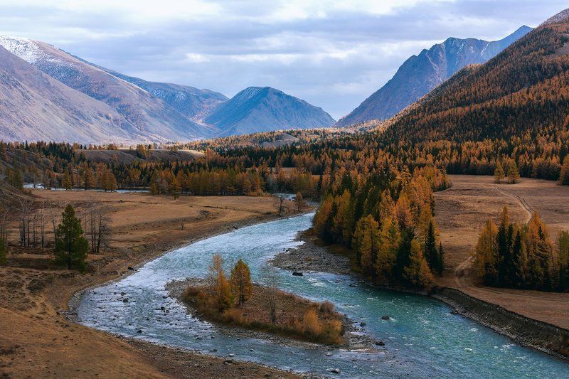 Чаган-Узуновские воспоминания фото превью