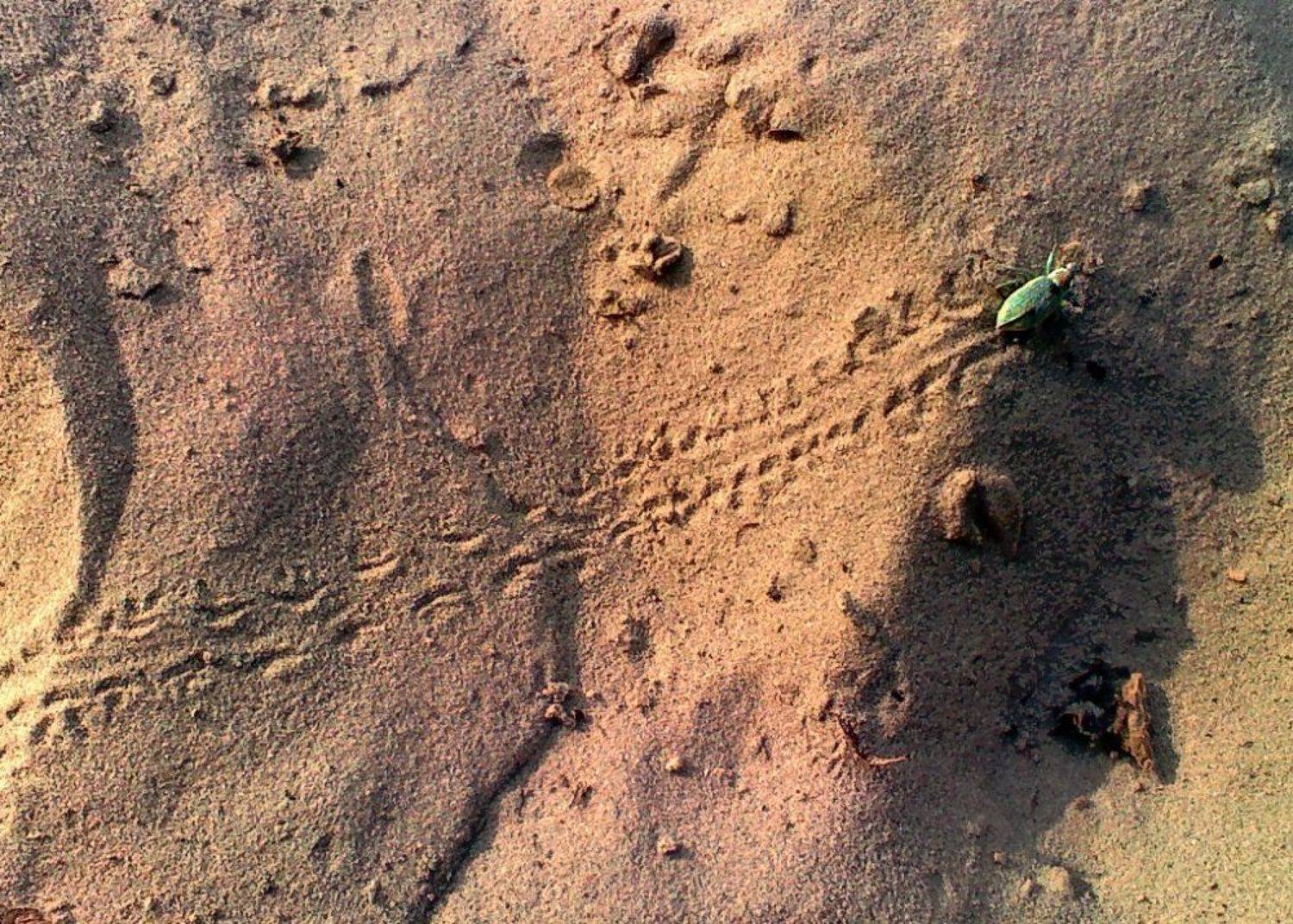 , Александр Индыло