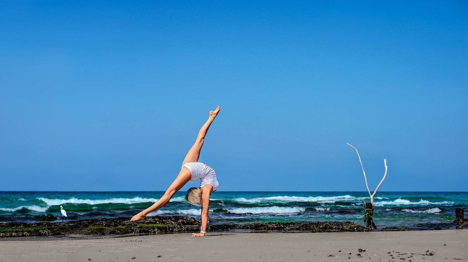 , Баженов Денис