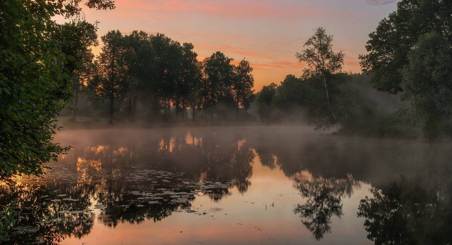 середниково, усадьба, подмосковье, пейзаж, утро, рассвет, туман, пруд, Сергей Давыдов