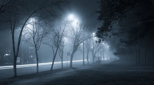 Всё поглотила голубая мгла