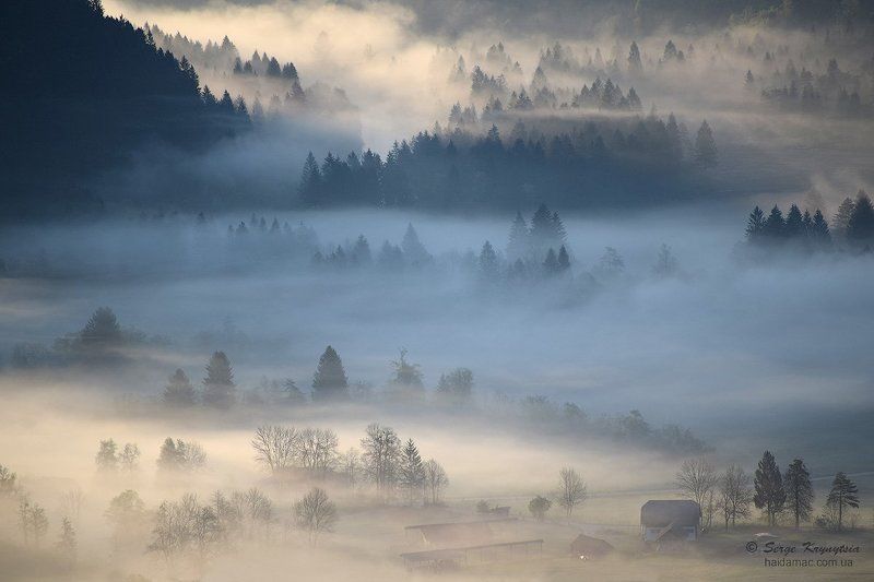 fog, foggy, slovenia, landscape, morning Once upon a time at foggy morning фото превью
