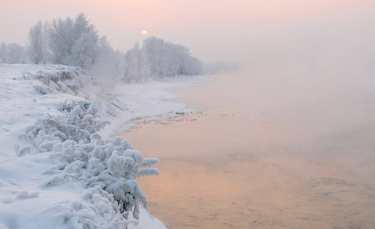 , Лещёнок Александр