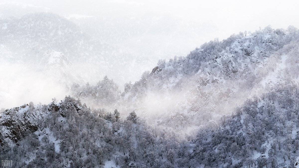 , Дмитрий Доронин