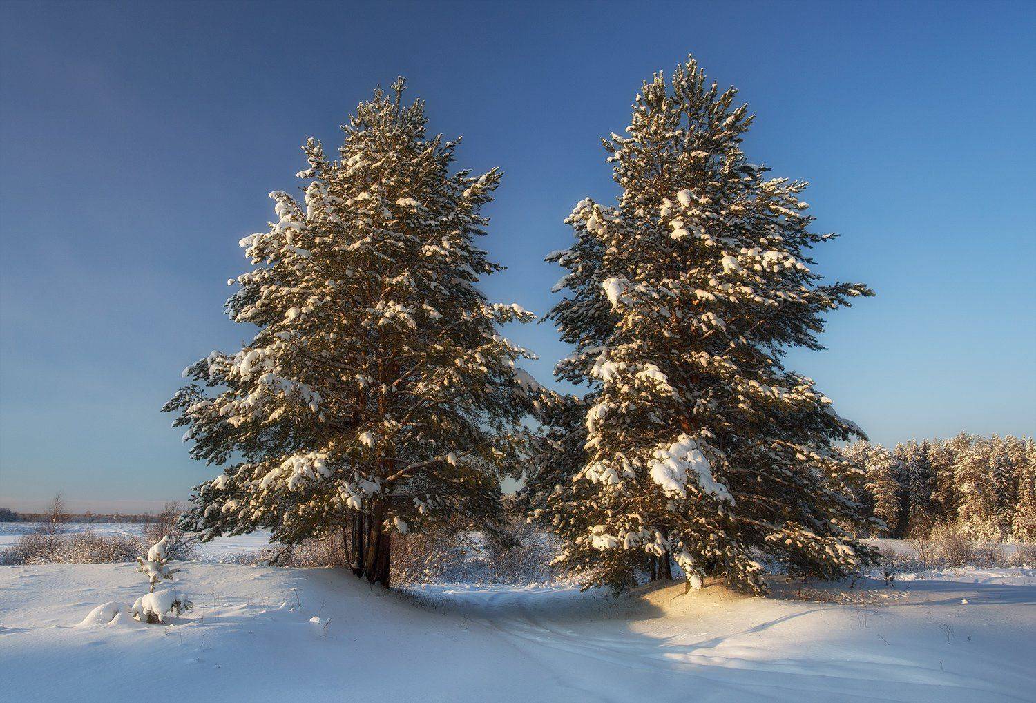 , Поташев Александр