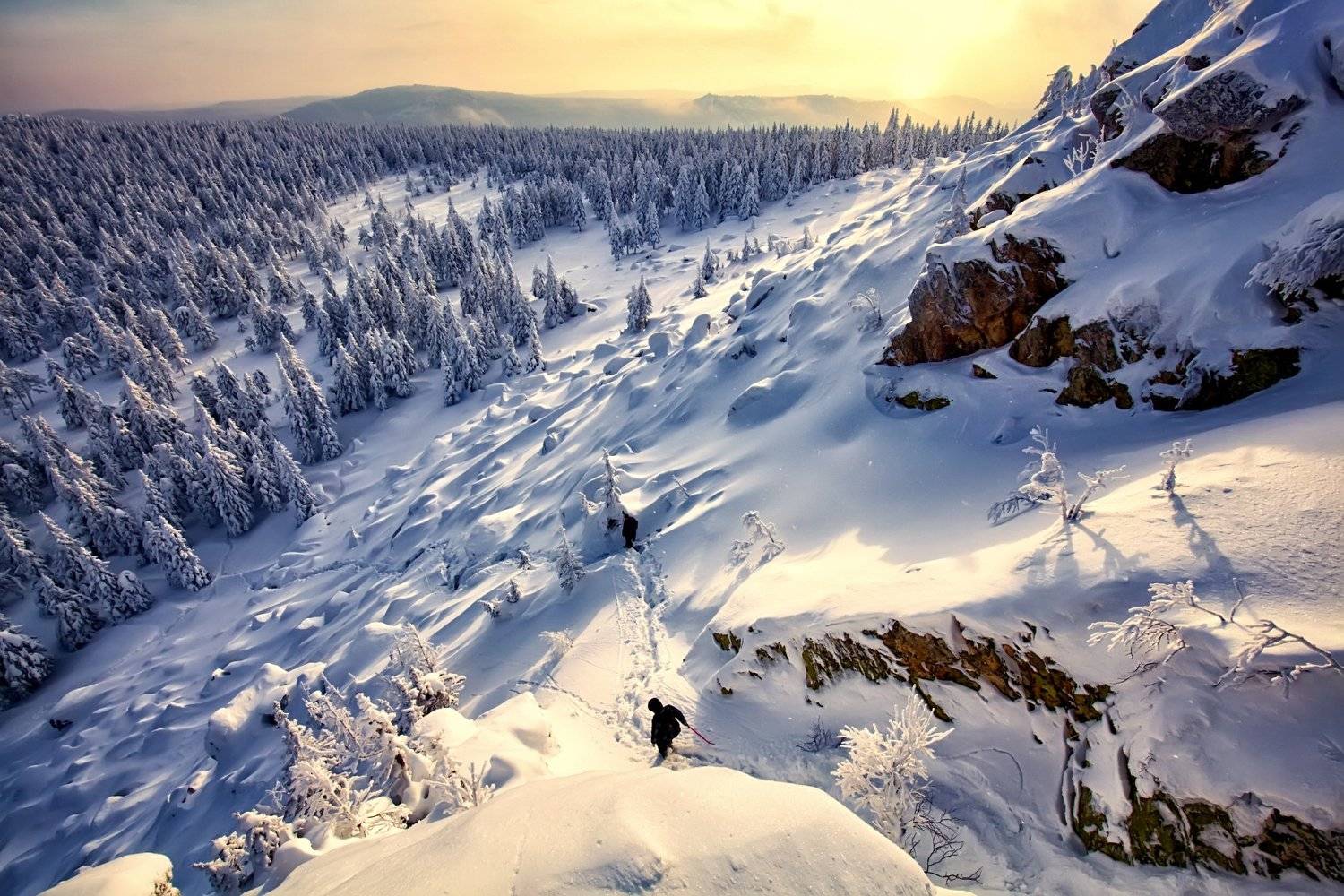 , Сергей Евдокимов