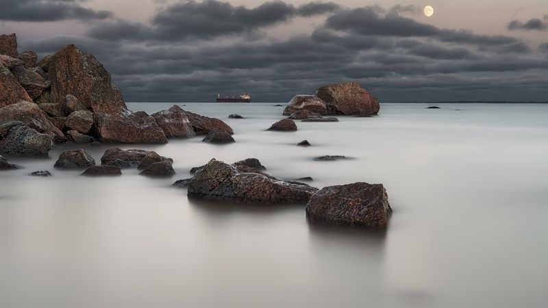 Baridi Bahari фото превью