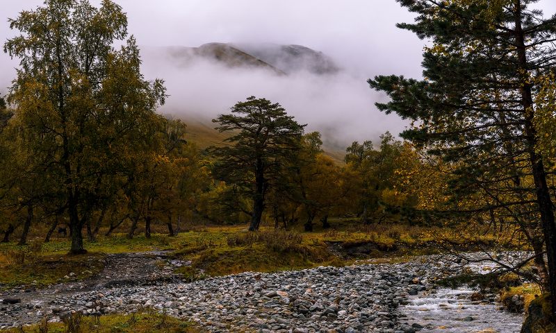 Туман - это когда облака на земле фото превью