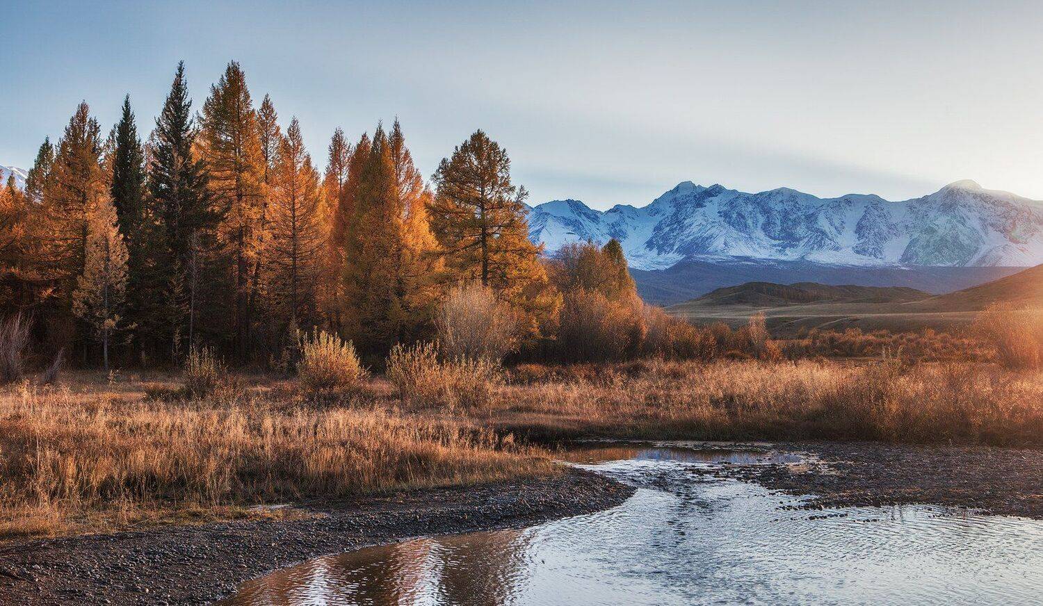 алтай, Владимир Липецких