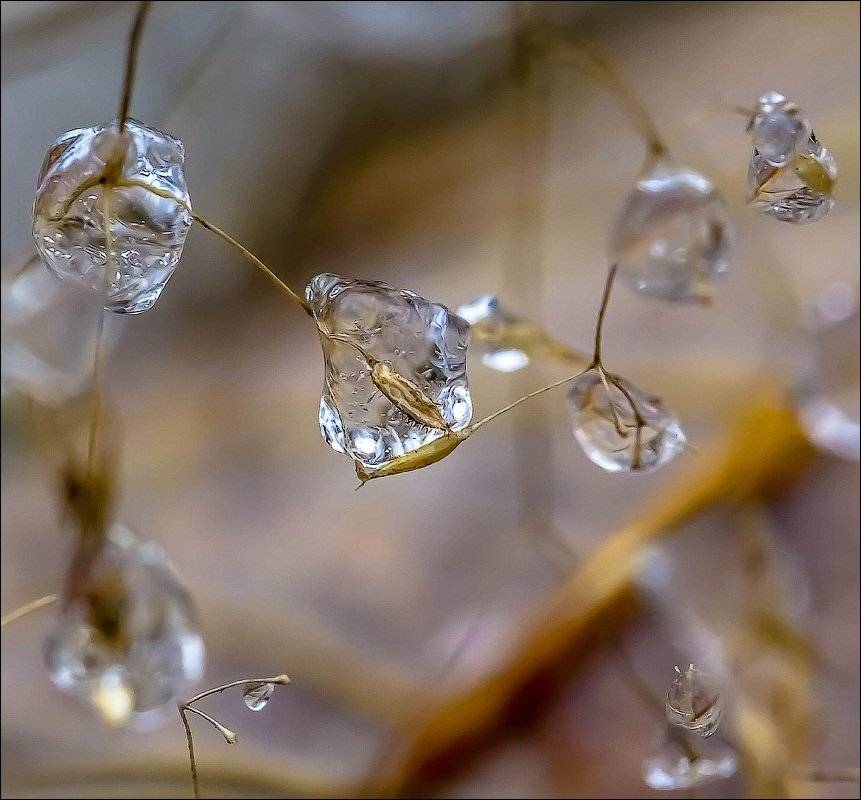 , Бурлов Андрей