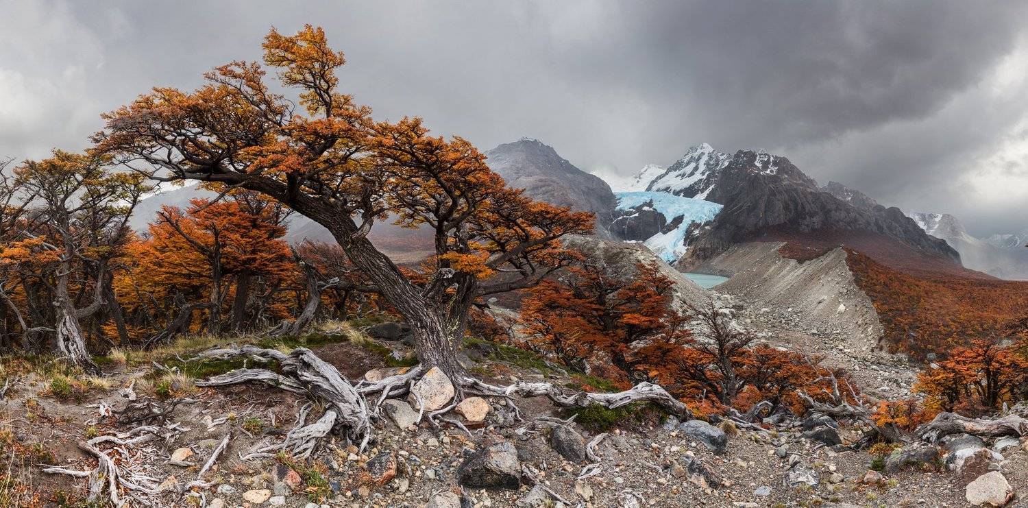 Патагония, Алексей Сулоев