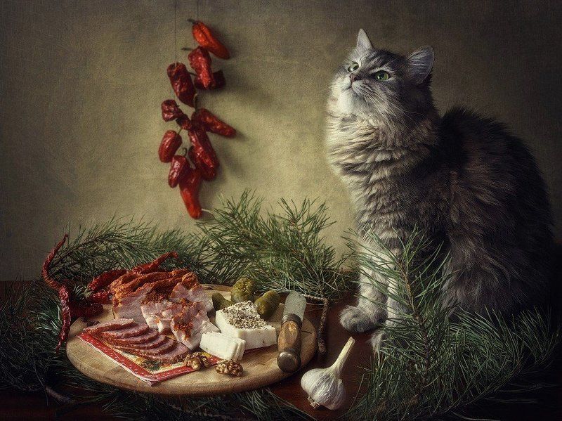С чего же начать? фото превью