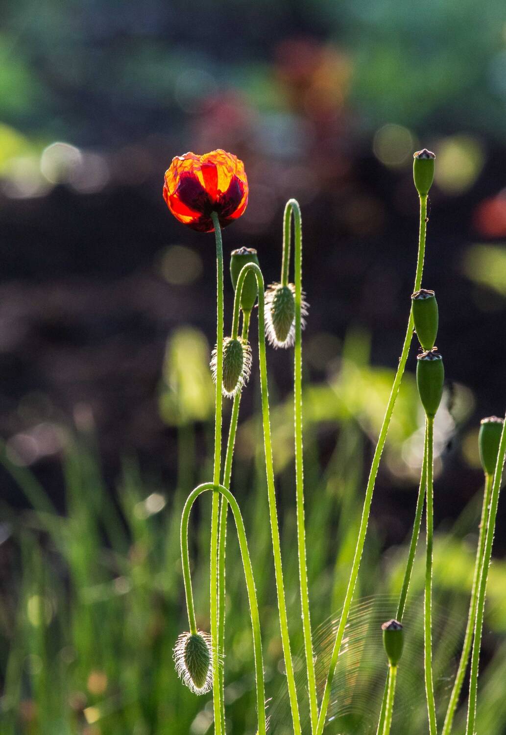 , Юрий Пужалин