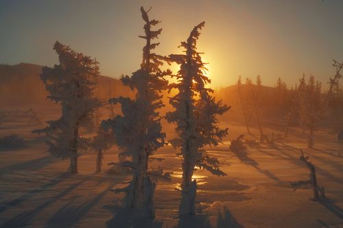 На стылом солнце.