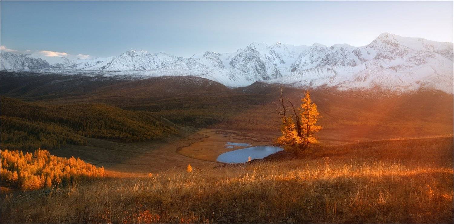 алтай, джангысколь, ештыколь, золото, осень, горы, северо-чуйский хребет, монголия, беркутчи, осень, фототур,, Влад Соколовский