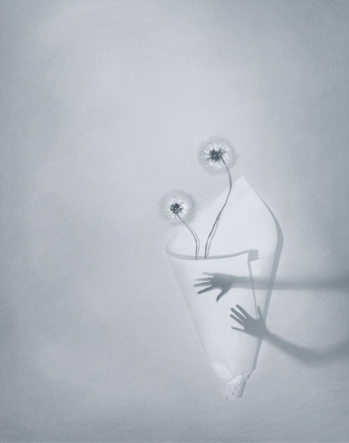 одуванчики, бумага, беречь, укрыть, природа, двое, арт, натюрморт, светлый, Елена