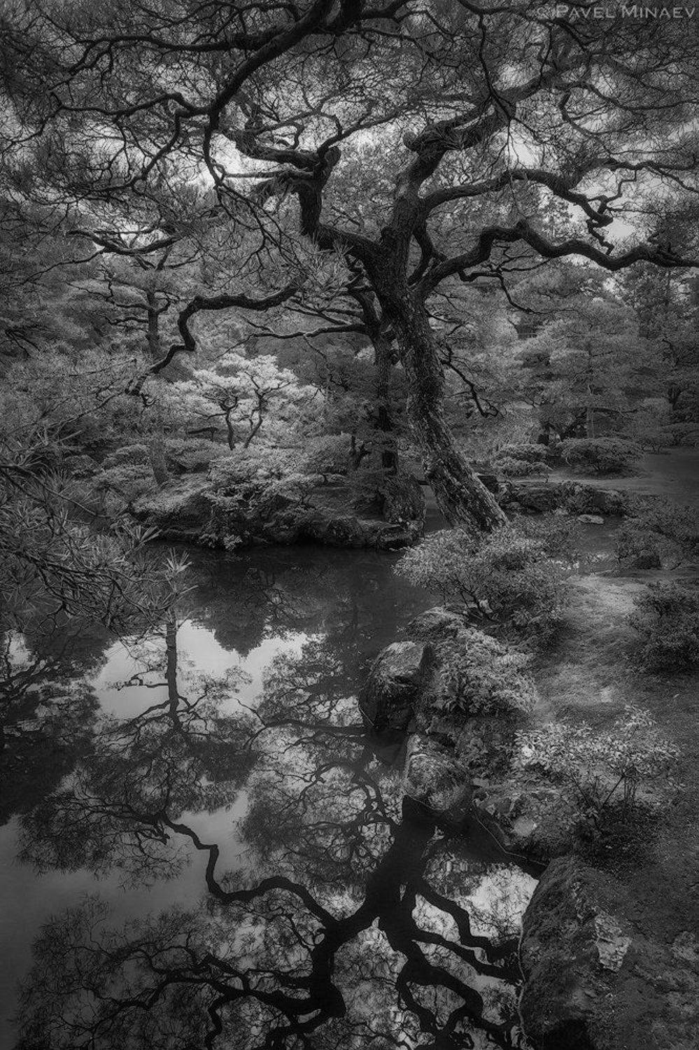 , Минаев Павел