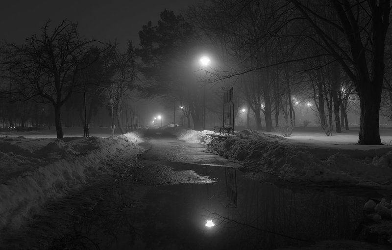 В туманной тишине фото превью