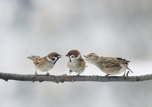 всем не угодил..