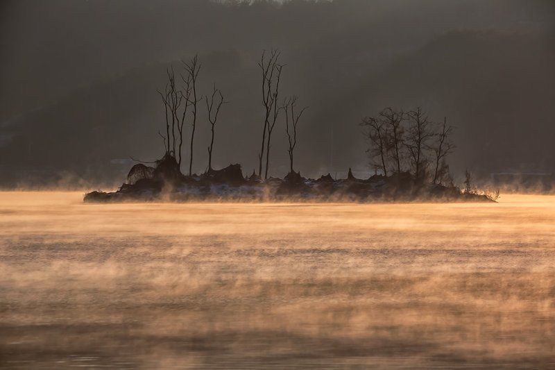 Wet Fog фото превью